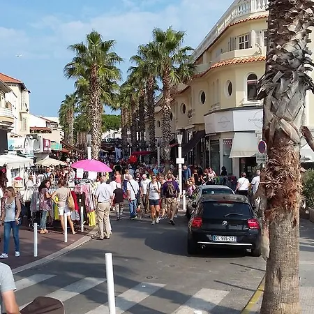 Juan Les Pins - Palais Des Fleurs Antibes